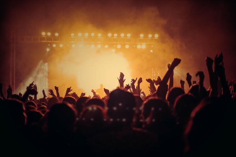 Silhouettes of people at a concert